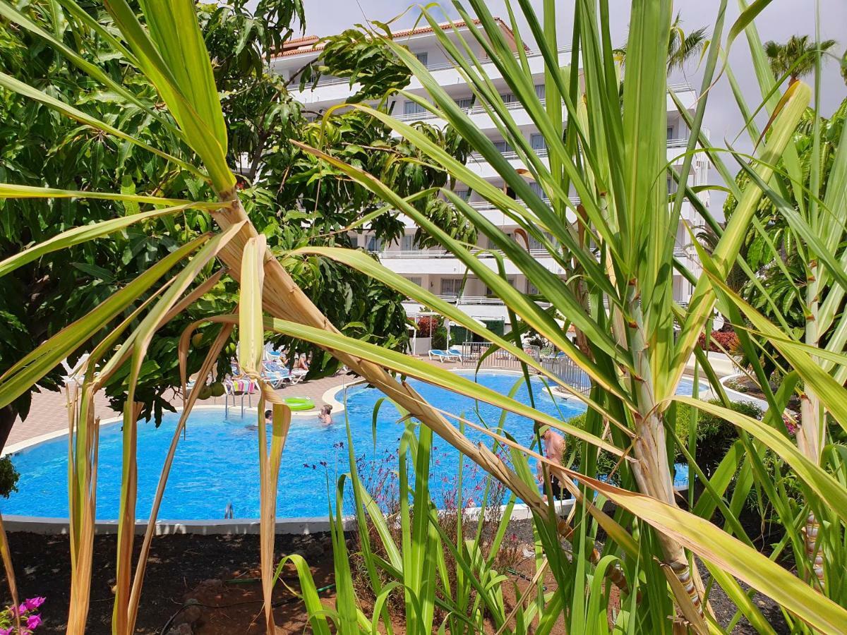 Spectacular Renovated Apartment, 5 Min To Camison Beach, With Aircon Arona  Ngoại thất bức ảnh